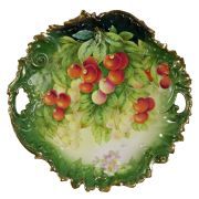 Bavarian Tirschenreuth Porcelain Floral Plate